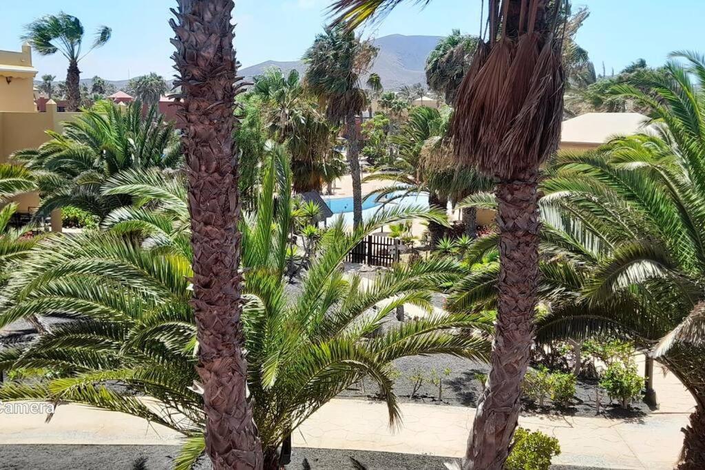 Apartment Cumbre Vieja Fuerteventura คอร์ราเลโฮ ภายนอก รูปภาพ