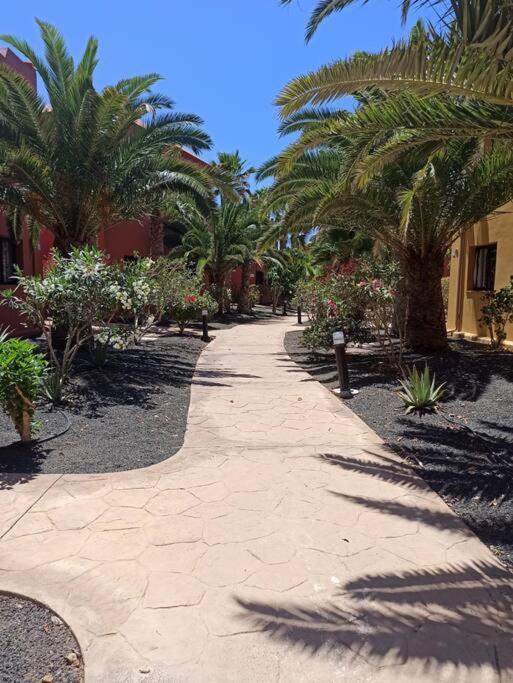 Apartment Cumbre Vieja Fuerteventura คอร์ราเลโฮ ภายนอก รูปภาพ