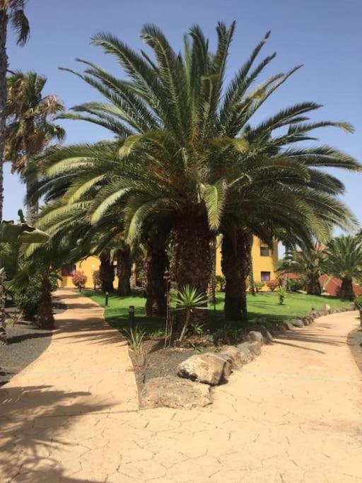 Apartment Cumbre Vieja Fuerteventura คอร์ราเลโฮ ภายนอก รูปภาพ