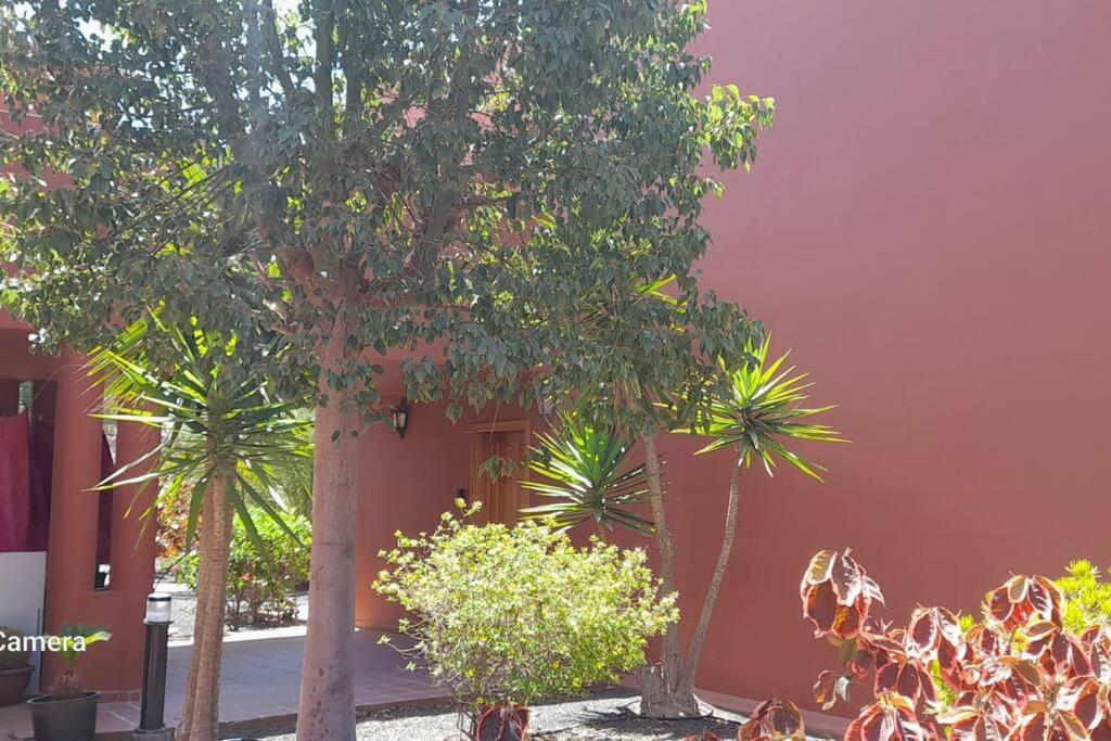 Apartment Cumbre Vieja Fuerteventura คอร์ราเลโฮ ภายนอก รูปภาพ