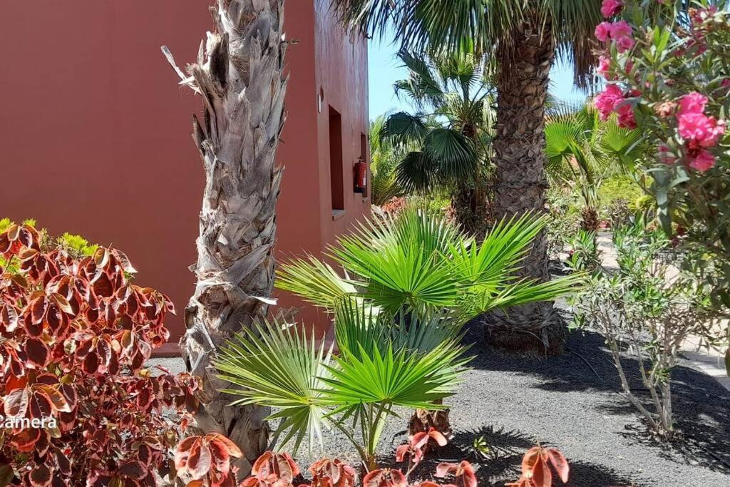 Apartment Cumbre Vieja Fuerteventura คอร์ราเลโฮ ภายนอก รูปภาพ