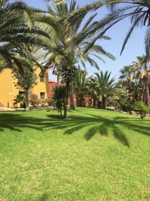 Apartment Cumbre Vieja Fuerteventura คอร์ราเลโฮ ภายนอก รูปภาพ