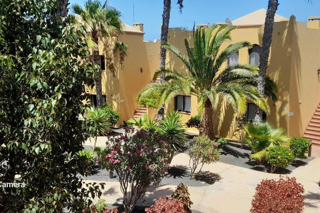 Apartment Cumbre Vieja Fuerteventura คอร์ราเลโฮ ภายนอก รูปภาพ